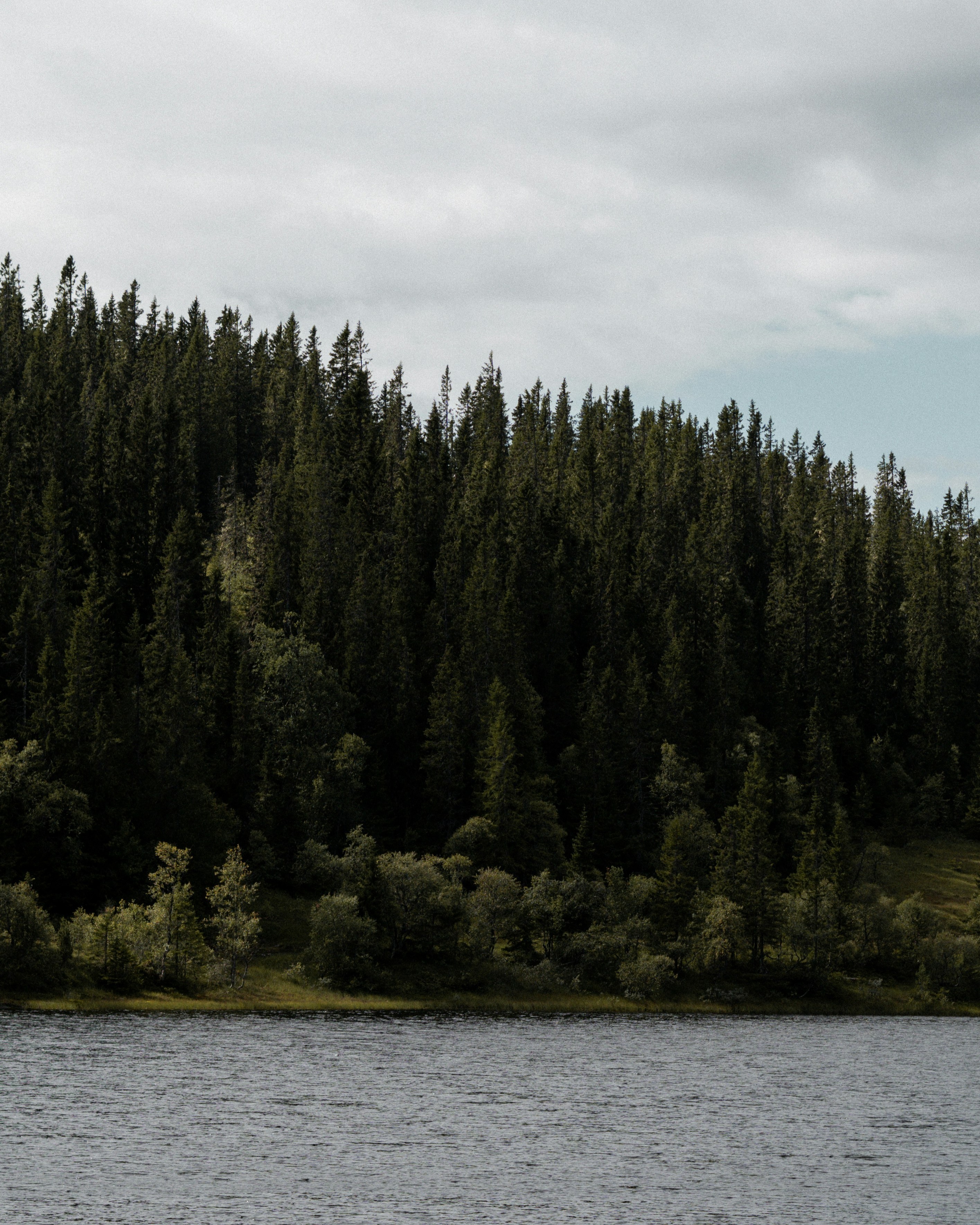 eliott-goutard-4BC7kj7rGqo-unsplash
